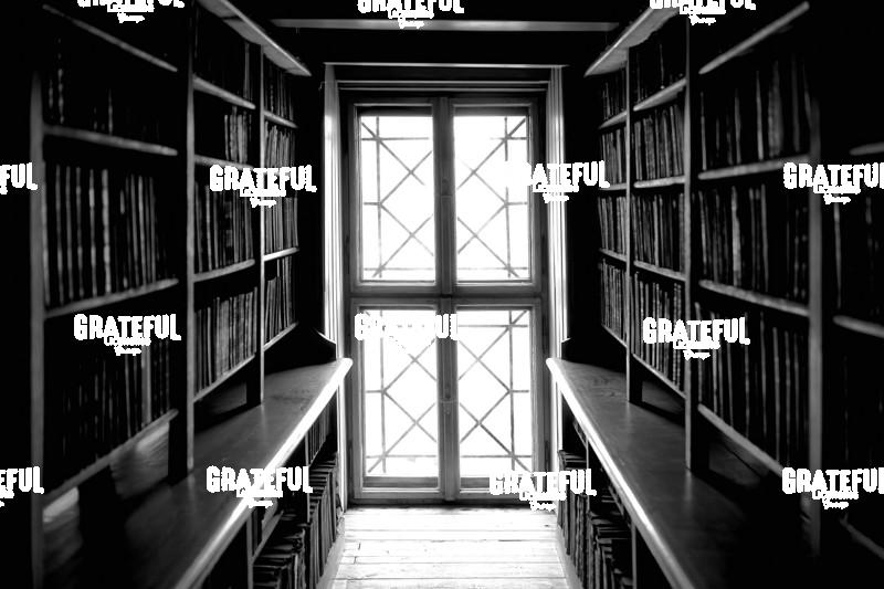 Knowledge Illuminated