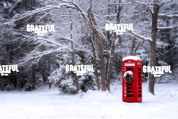 A British Christmas in Maine