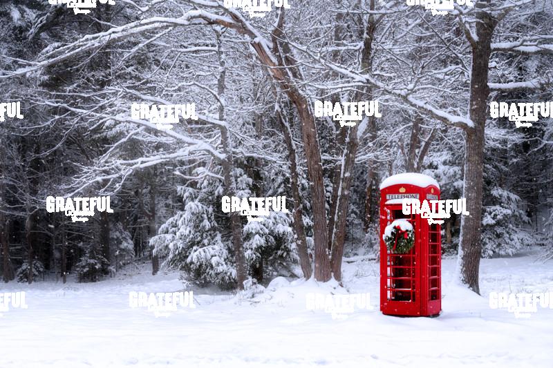 A British Christmas in Maine
