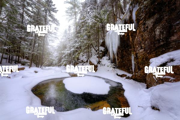 Winter at Sabbaday Brook