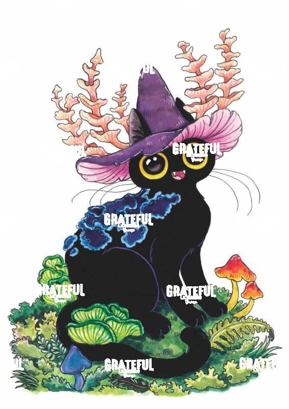 Fungi Witch Cat