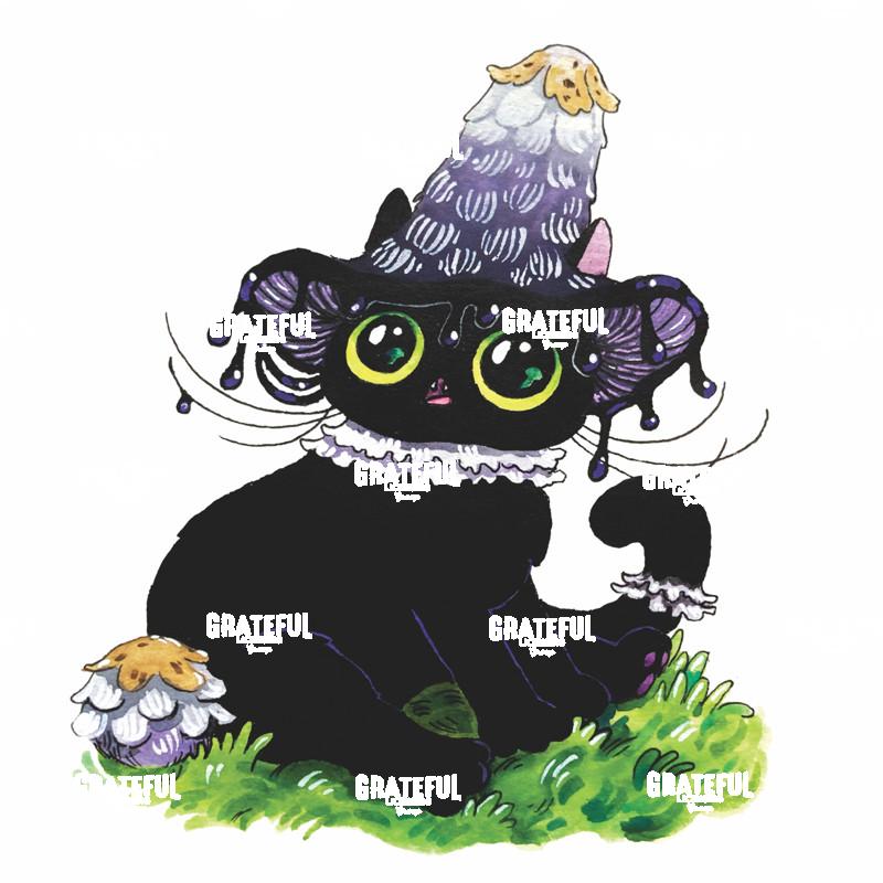 Tall Wizard Hat Cat