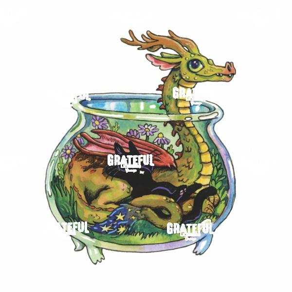 Dragon Bowl Cat