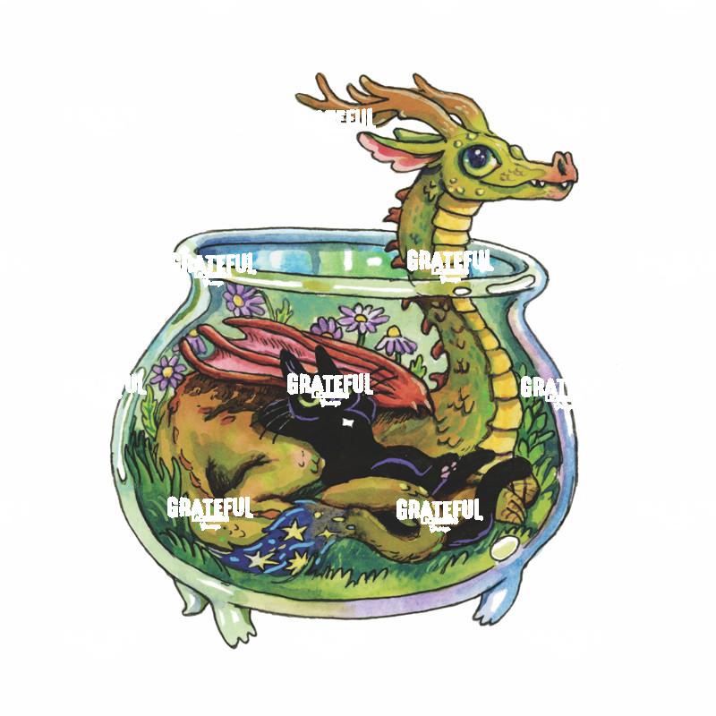 Dragon Bowl Cat