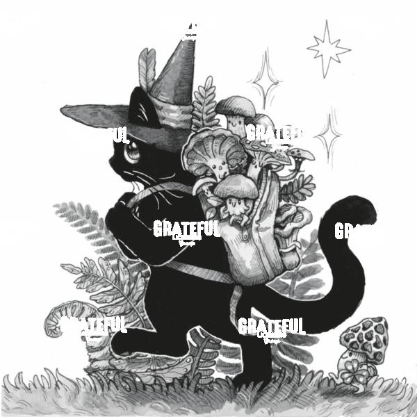 Witch Cat with Sack