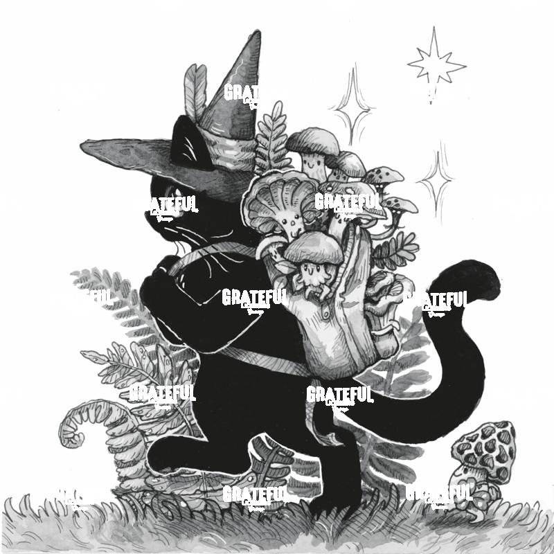Witch Cat with Sack