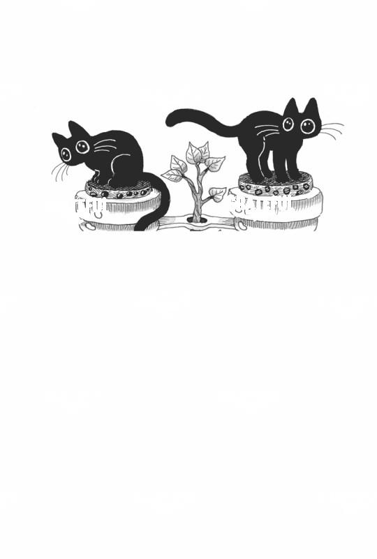 Cats on Binocular Jars