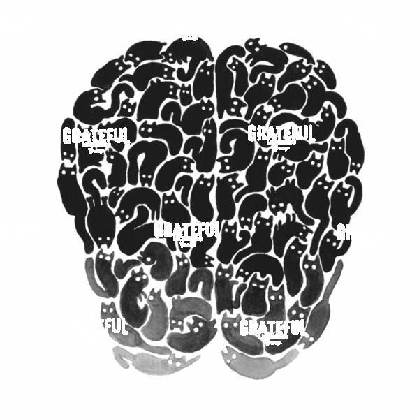 Cat Brain Shape