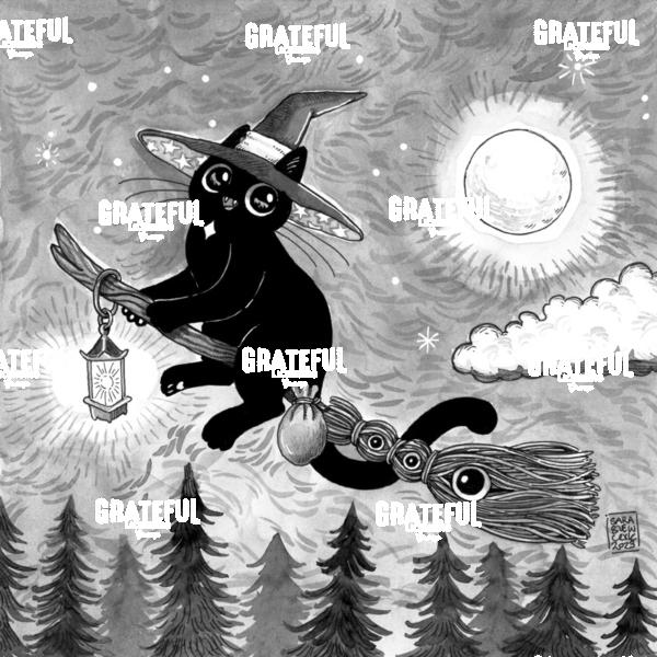 Flying Broom Cat