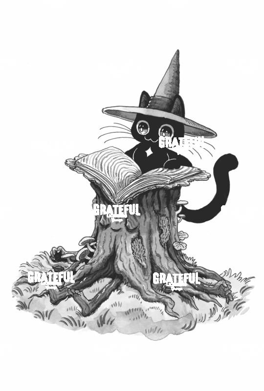 Reading Witch Cat on Stump