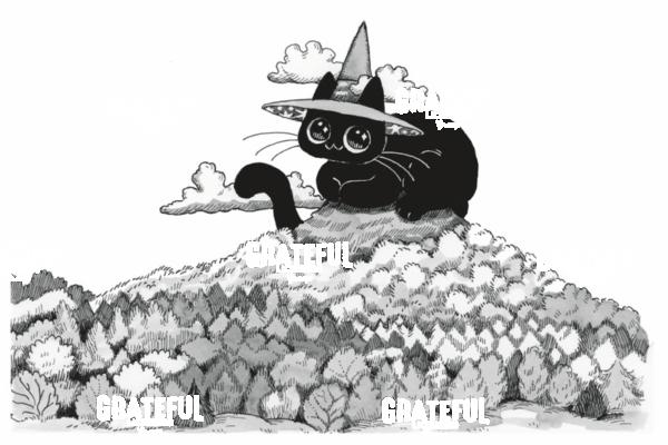 Witch Cat on Foresty Hill