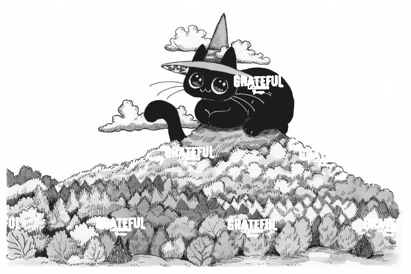 Witch Cat on Foresty Hill