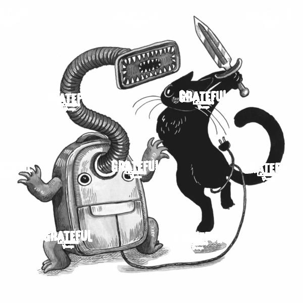 Cat Fighting a Vacuum