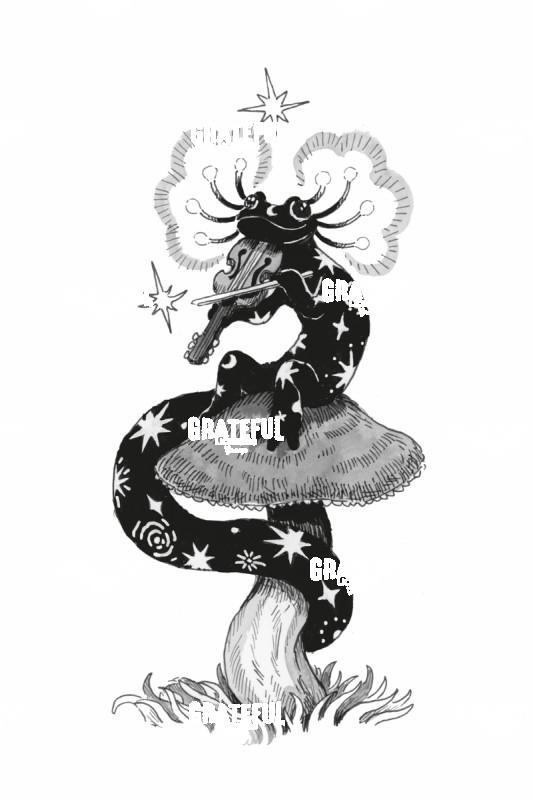 Salamander Playing Violin