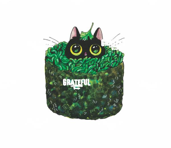 Wakame Sushi Cat