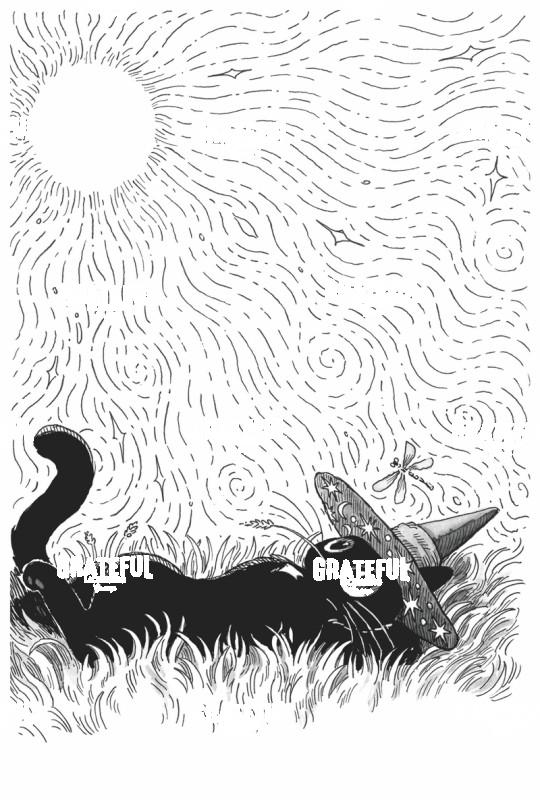 Cat Under Swirling Sun