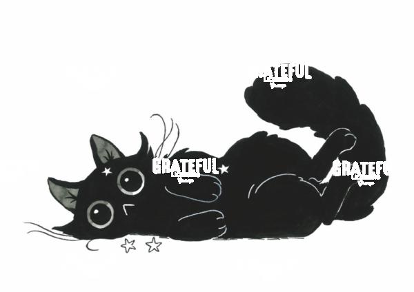 Lying Star Cat
