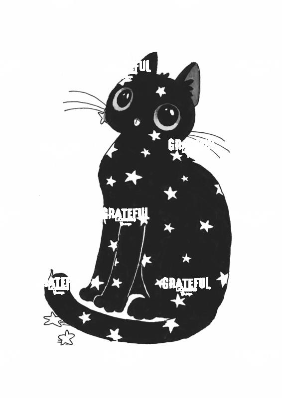 Star Pattern Cat