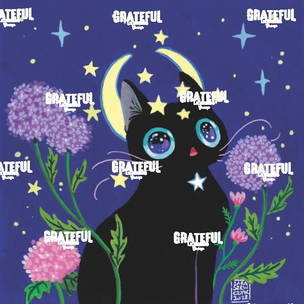Night Garden