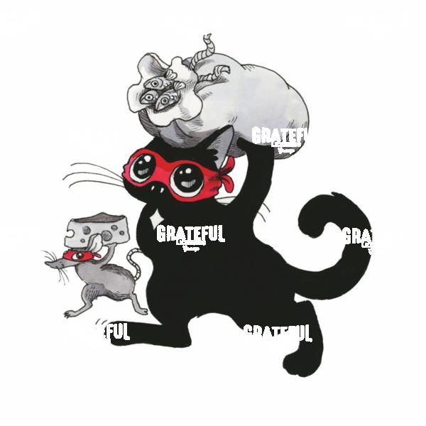 Masked Cat with Sack