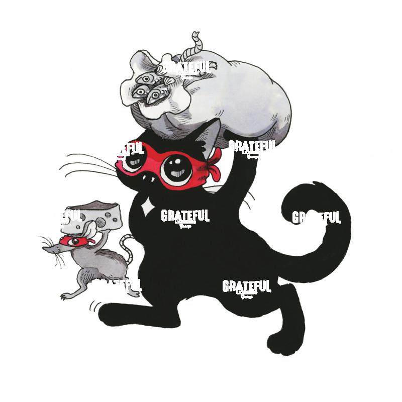Masked Cat with Sack
