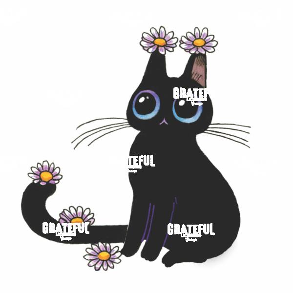 Daisy Cat