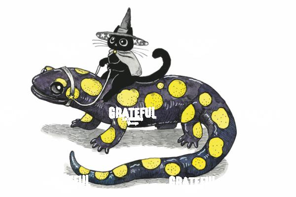 Cat Riding Salamander