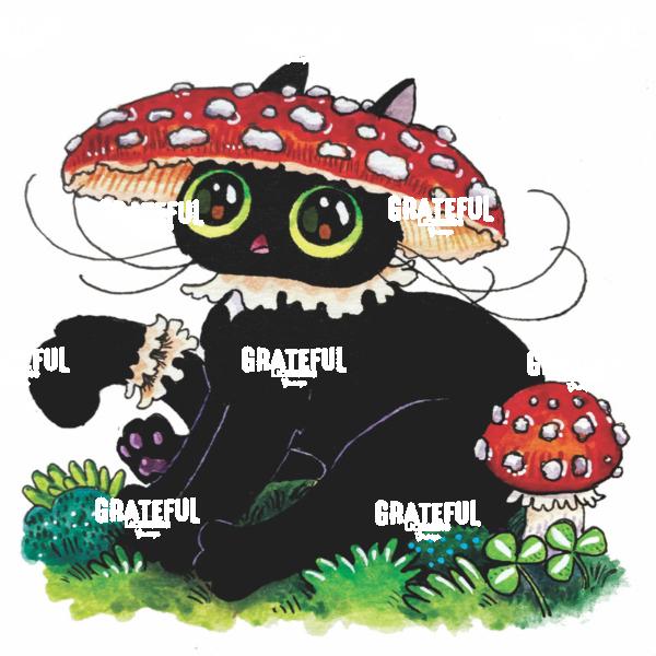 Mushroom Cap Cat