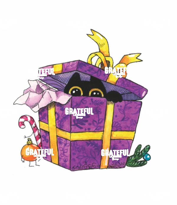 Cat in Purple Gift Box