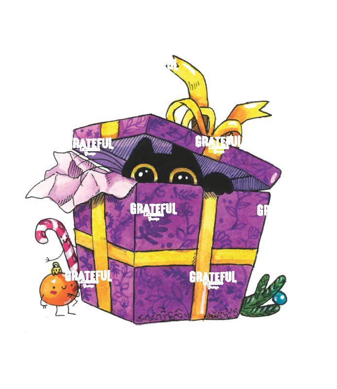 Cat in Purple Gift Box