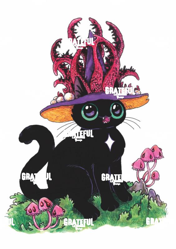 Cat with Red Ornate Hat