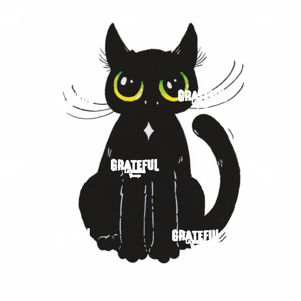 Angry Black Cat