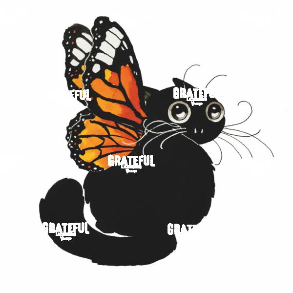 Butterfly Wing Cat