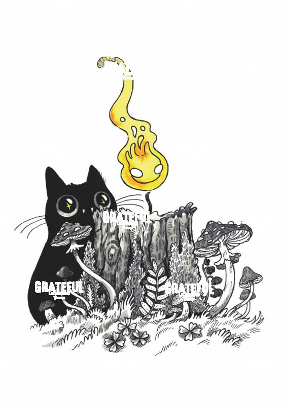 Flame on Stump Cat