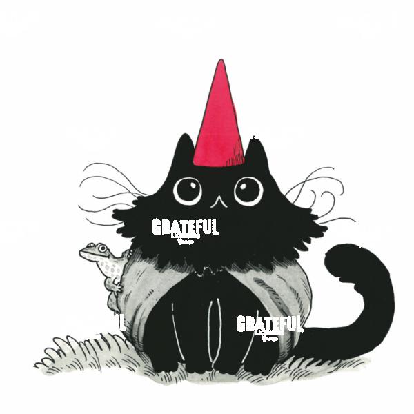 Red Hat Cat