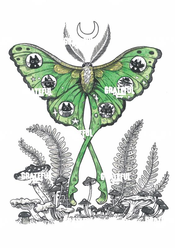 Green Moth 