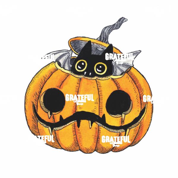 Pumpkin Bat Cat