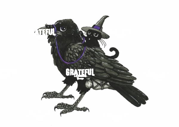 Raven Rider Cat