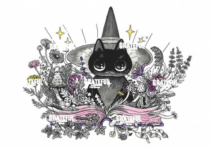 Green Witch Hat Cat