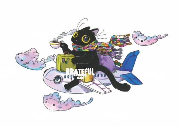 Flying Magical Plane Cat