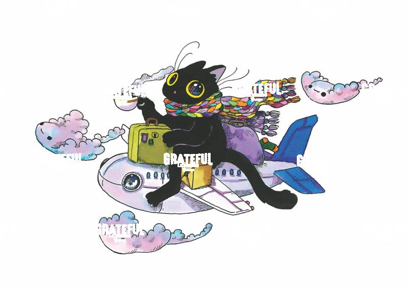 Flying Magical Plane Cat