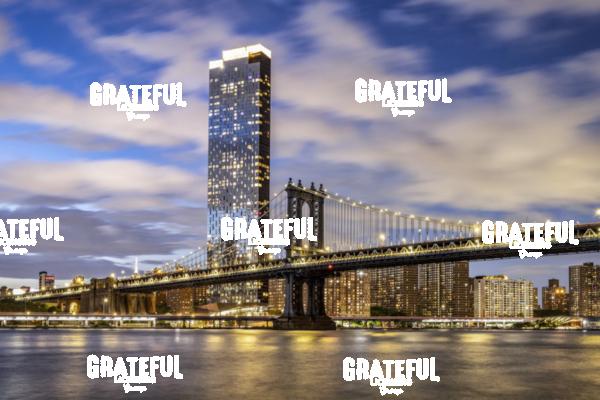 Manhattan Bridge and New York City 2
