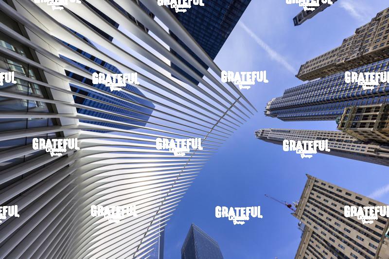 The Occulous in NYC 7