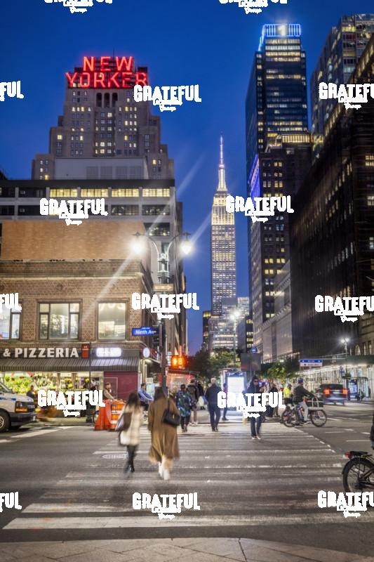 the New Yorker in NYC