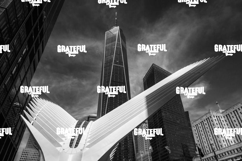 The Occulous and Freedom Tower in NYC