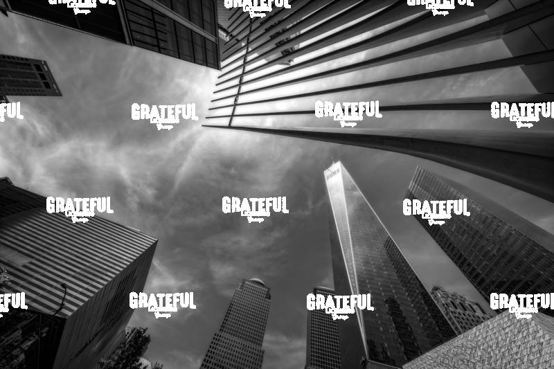 The Occulous in NYC 10