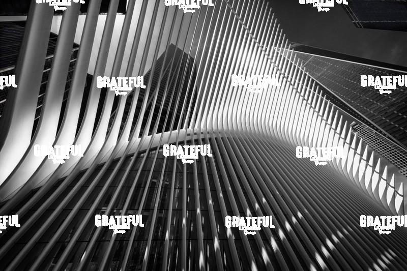 The Occulous in NYC 6