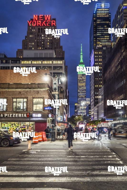 The New Yorker in New York City 5