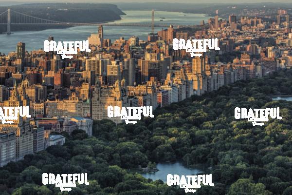 View of Central Park and Manhattan from above