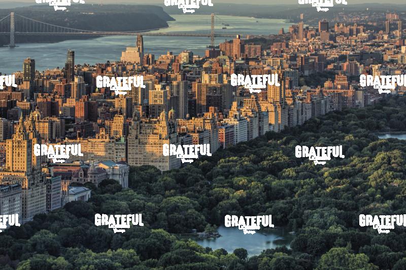 View of Central Park and Manhattan from above